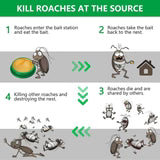 Bye-Bye Roaches Pack of 3 (Buy 1 Get 1 Free)